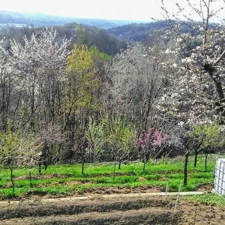 Il Pettirosso 3* Castellamonte