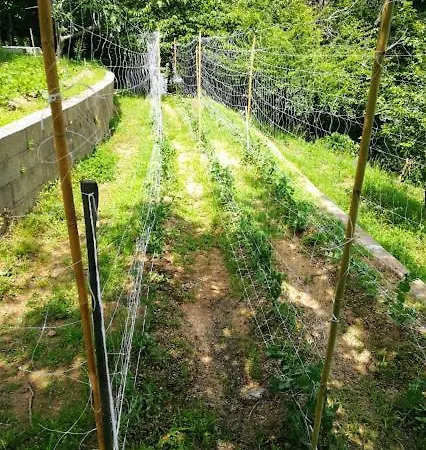 Il Pettirosso Гостевой дом 3*